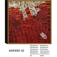 AMF699-30