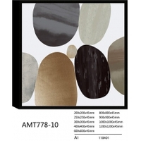  AMT778-10