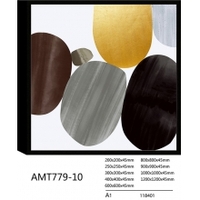  AMT779-10