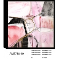 AMT788-10