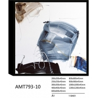 AMT793-10