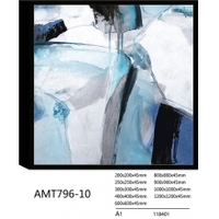 AMT796-10