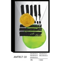 AMT817-10