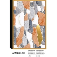  AMT849-10