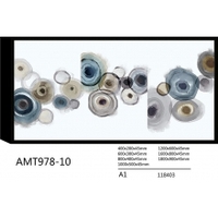 AMT978-10