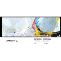 AMT993-10