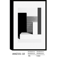 AMZ331-10